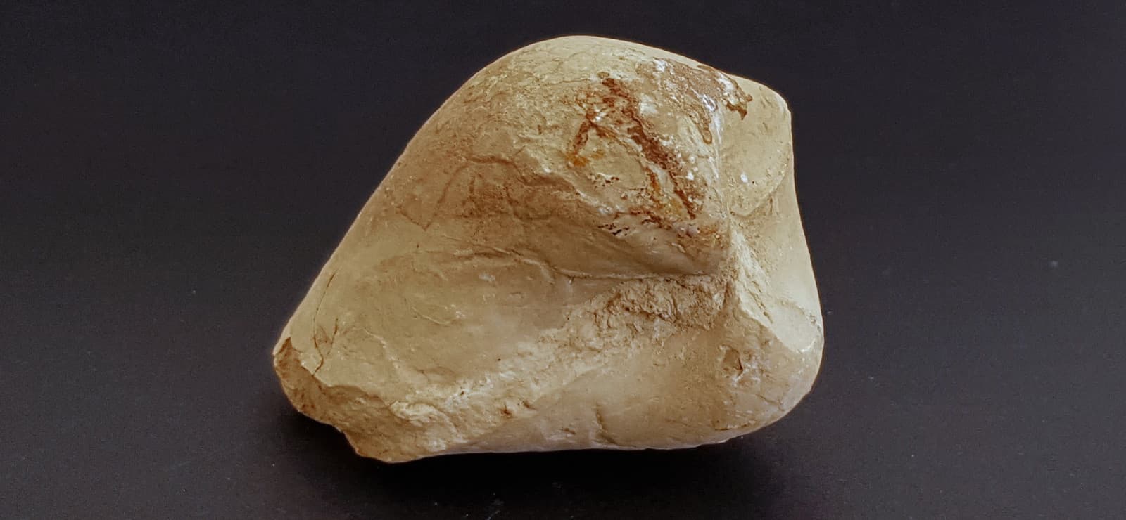 TETHYS OCEAN Fossil Shell or Impression Triassic-Jurassic-Cretaceous-Oligocene 2