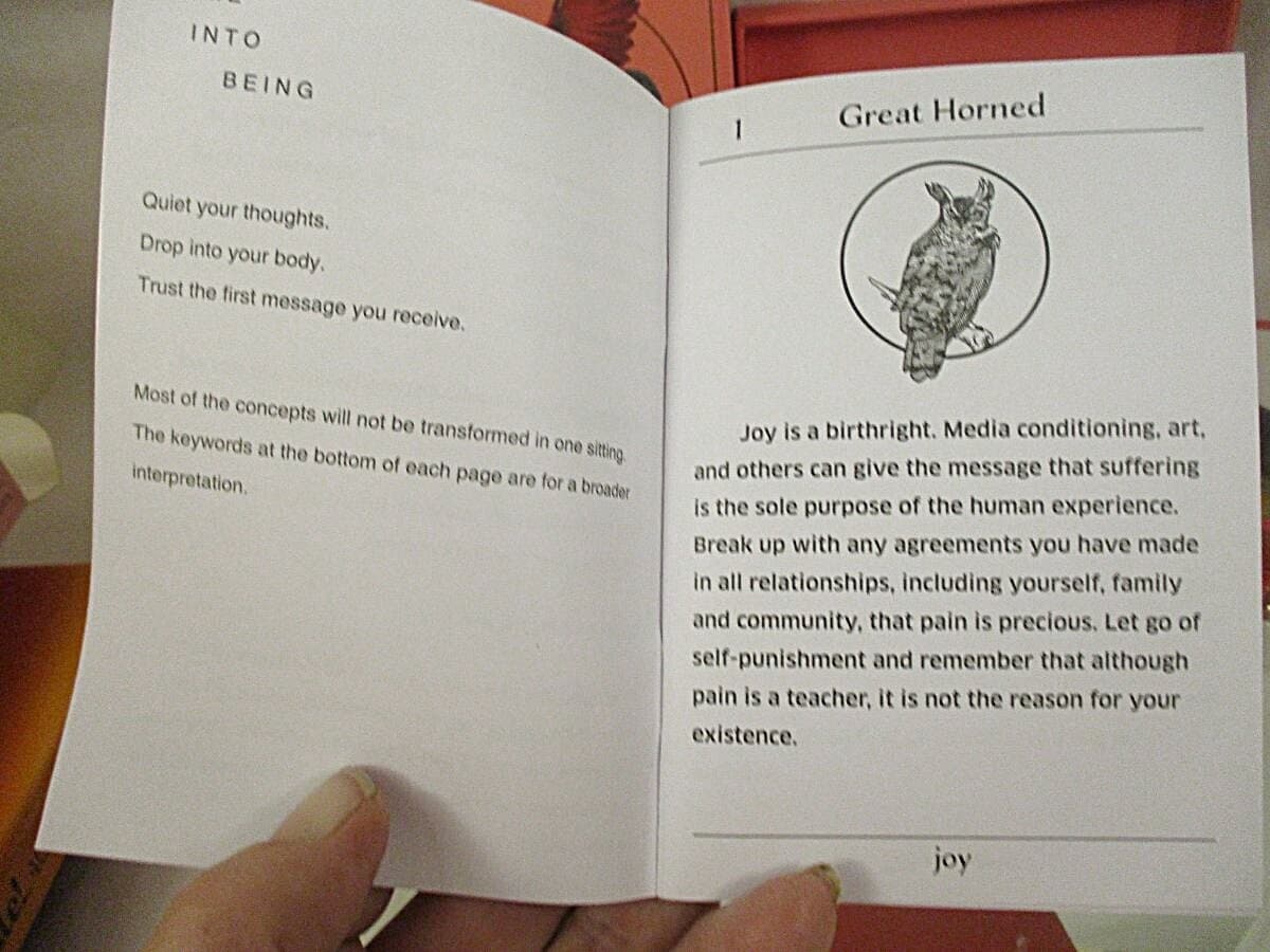 Bird Kin Oracle Deck 2019 Feather Messages + Guidebook 30 Cards EUC Stocking Stu 5