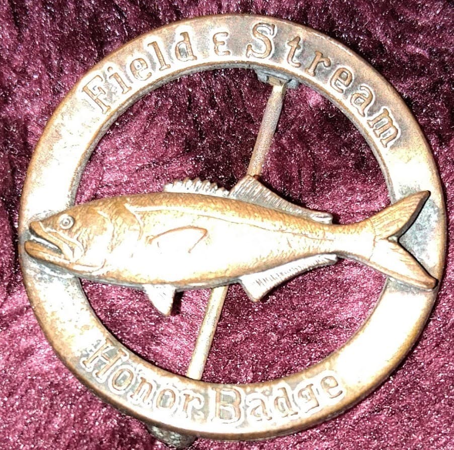 Field & Stream Copper Fishing Honor Badge vtg Award Pin 12 lb 6oz blueFish 3