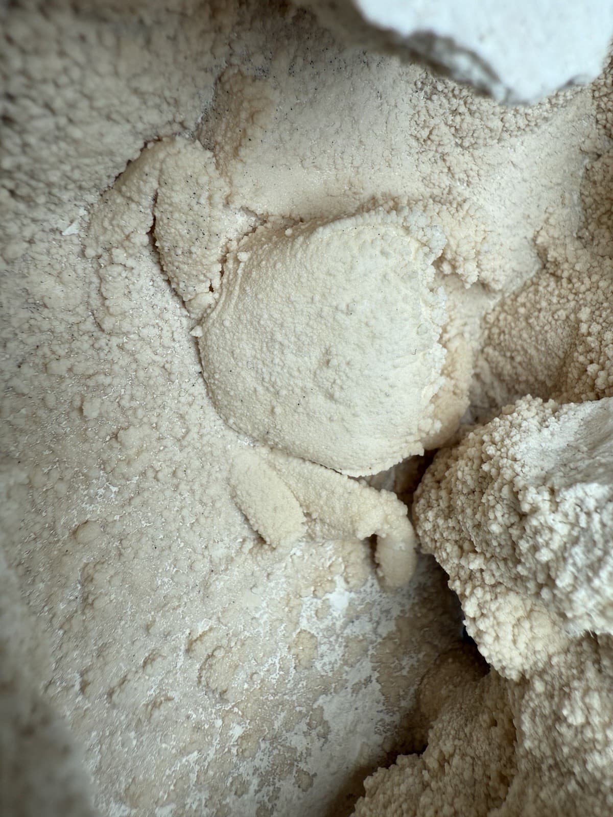 2.3” Inch Amazing Fossilized Potamon Crab In Travertine Turkey UV Reactive 4