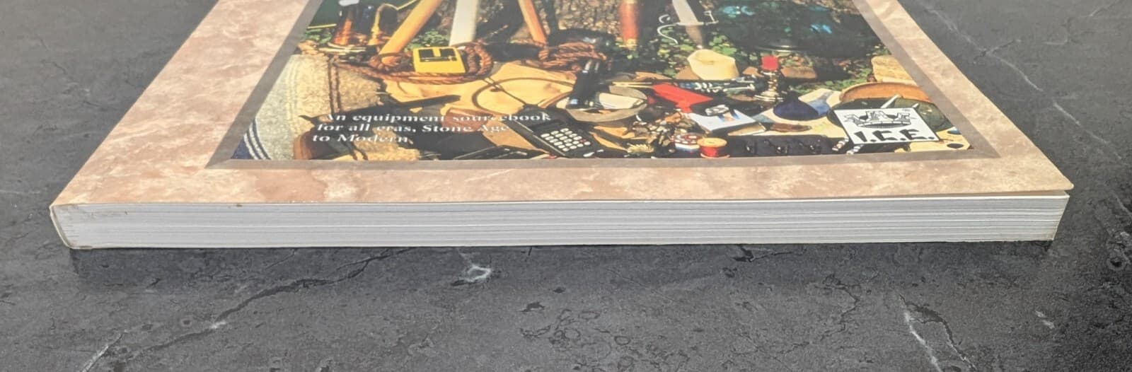 Rolemaster Standard System - ...and a 10-Foot Pole RPG Sourcebook (1999) - Used! 5