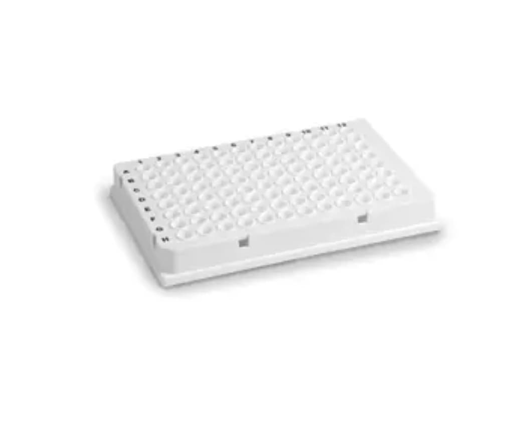 Bio-Rad Hard-Shell 96-Well PCR Plates,low profile,thin wall, HS9655 | Pack of 50
