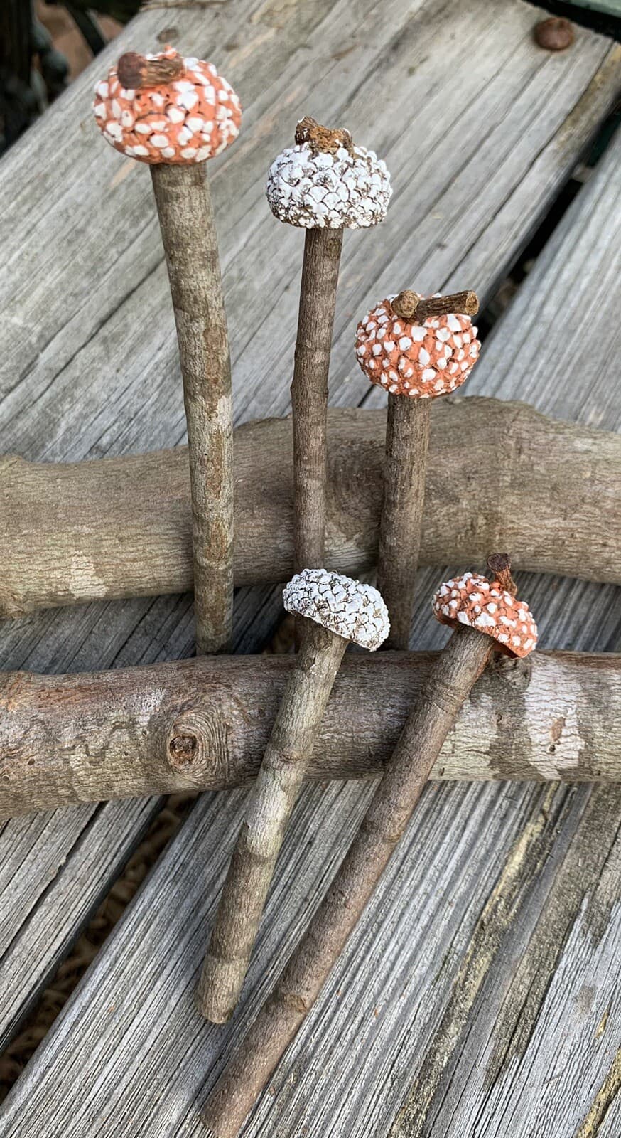 Whimsical Wood & Acorn Cap Mushroom Plant Picks Fairy Garden House Plants Decor 3