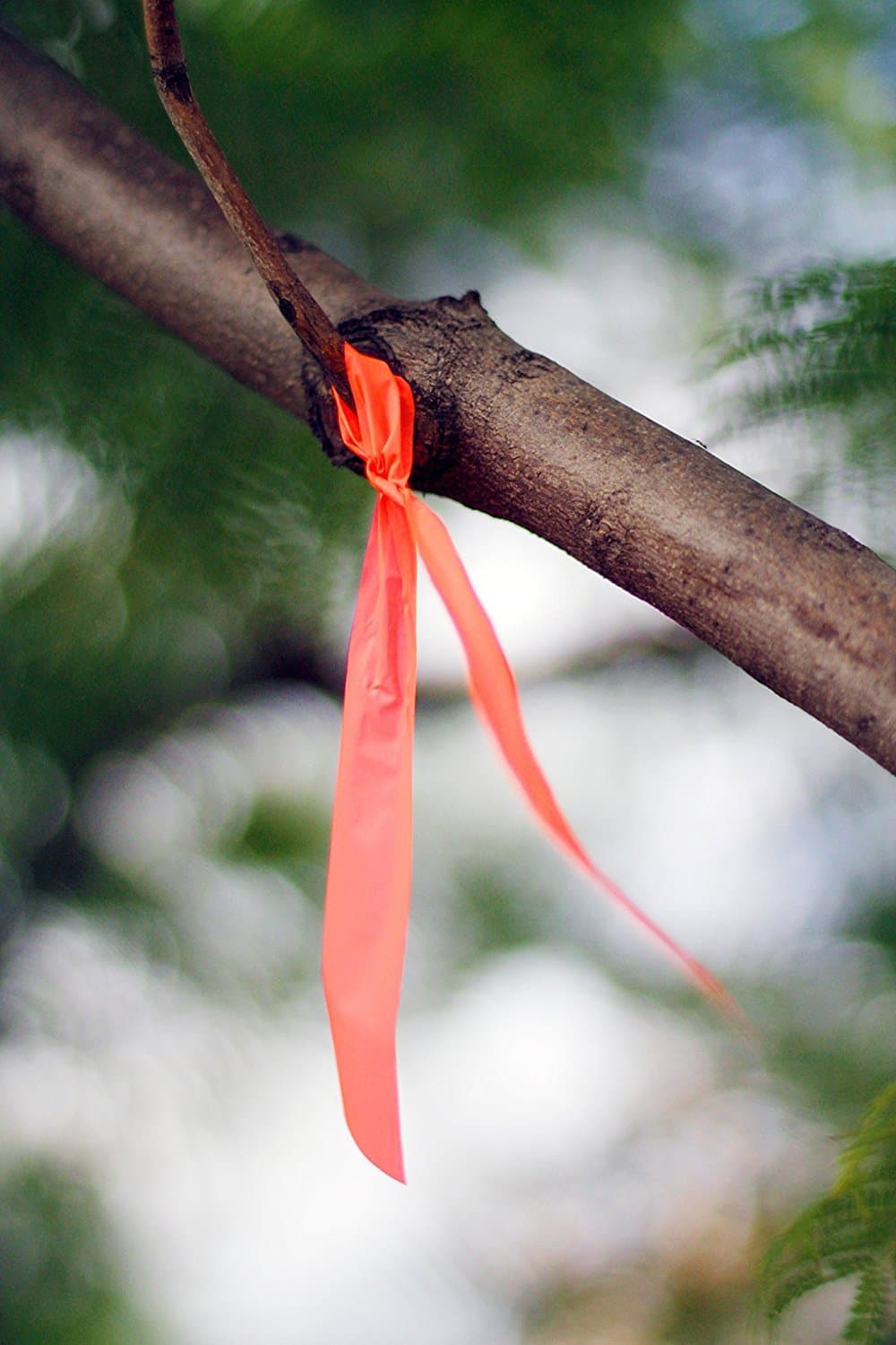 5 Pack High Visibility Neon Camping Hunting Hiking Marking Ribbon Rolls Survival 3