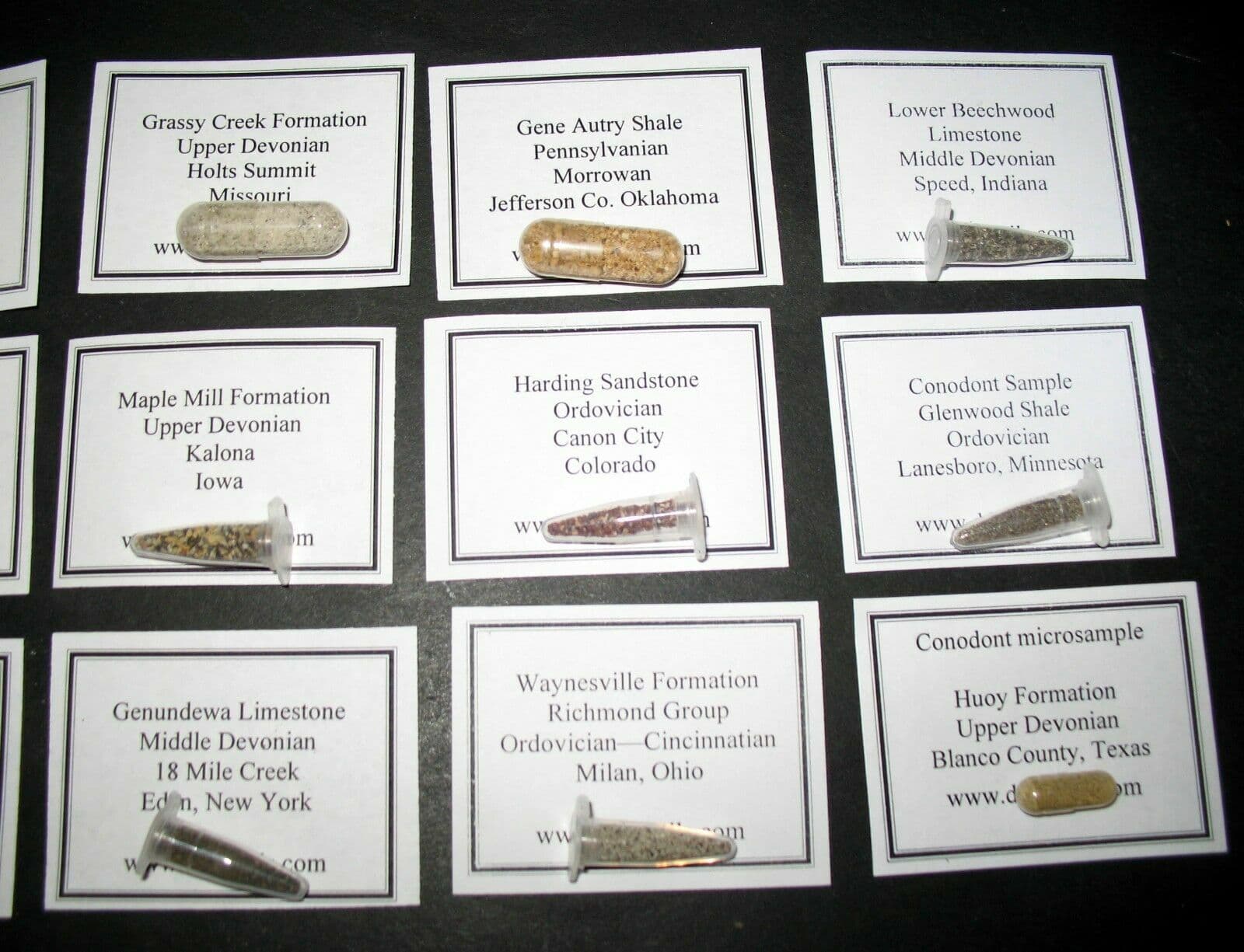 Ordovician to Pennsylvanian Conodont fossil matrix collection 12 samples 3