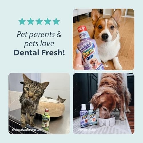 Dental Fresh Advanced Plaque and Tartar Water  Assorted Flavor Names , Sizes  6