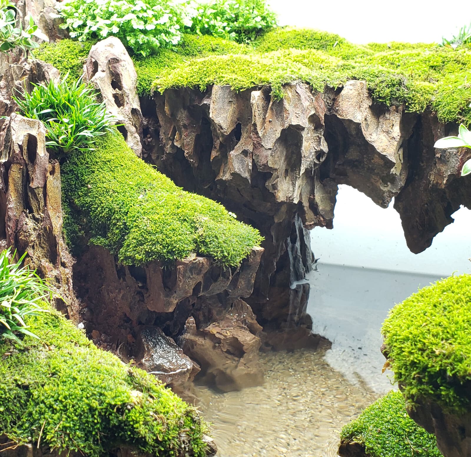 Dragon Stone (Ohko Stone) / Planted Aquarium / Decoration / Hardscape 10 Lbs Box 5