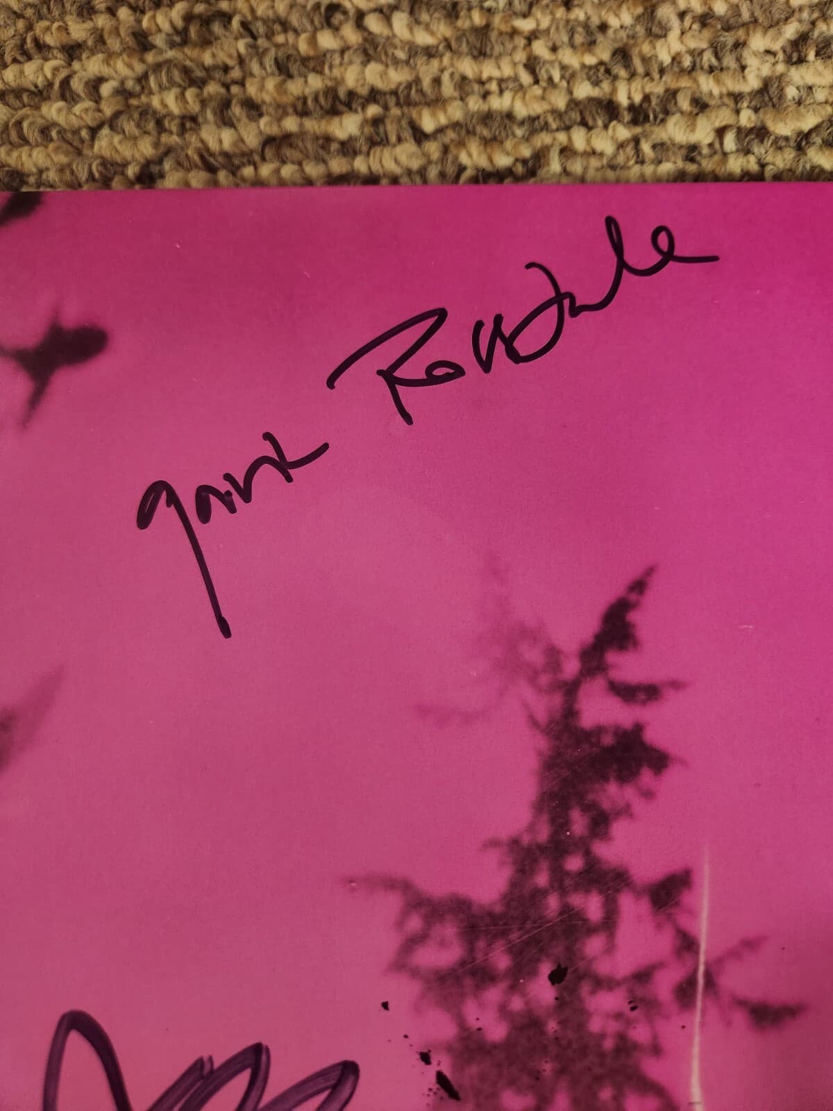 BUSH Greatest Hits SIGNED Album By Gavin Rossdale And Band 2024 2