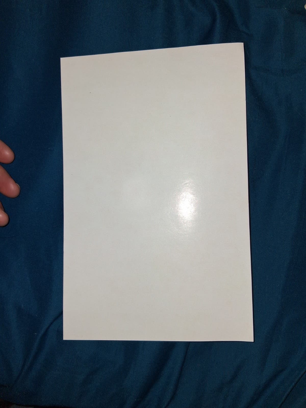 Ozzy Osbourne Original Louisville Gardens Concert Poster  6