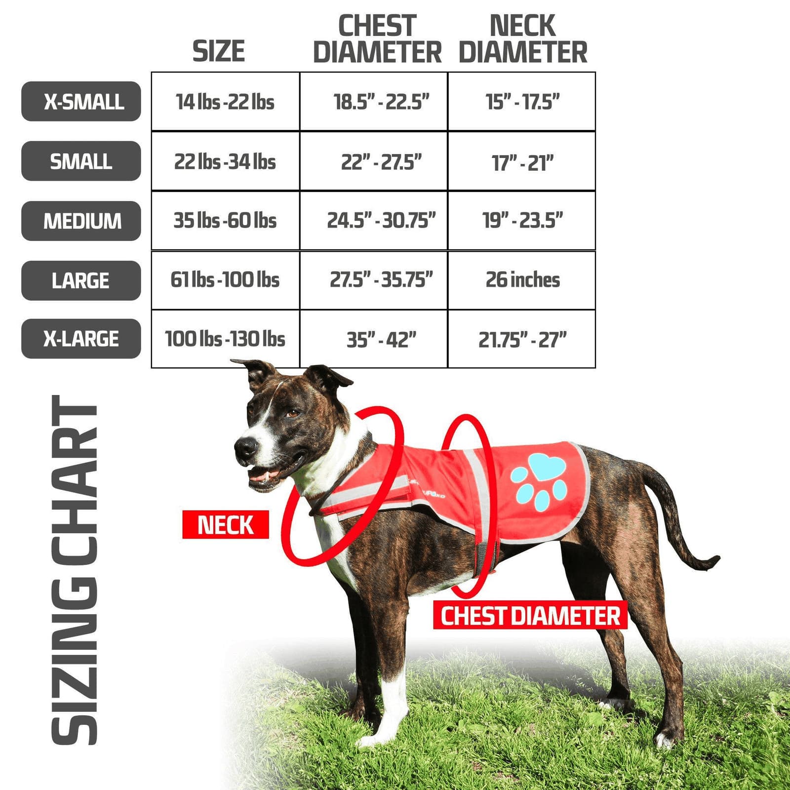 Dog Reflective Vest – Multiple Color Options with Hi Vis Fluorescent Visibility 2