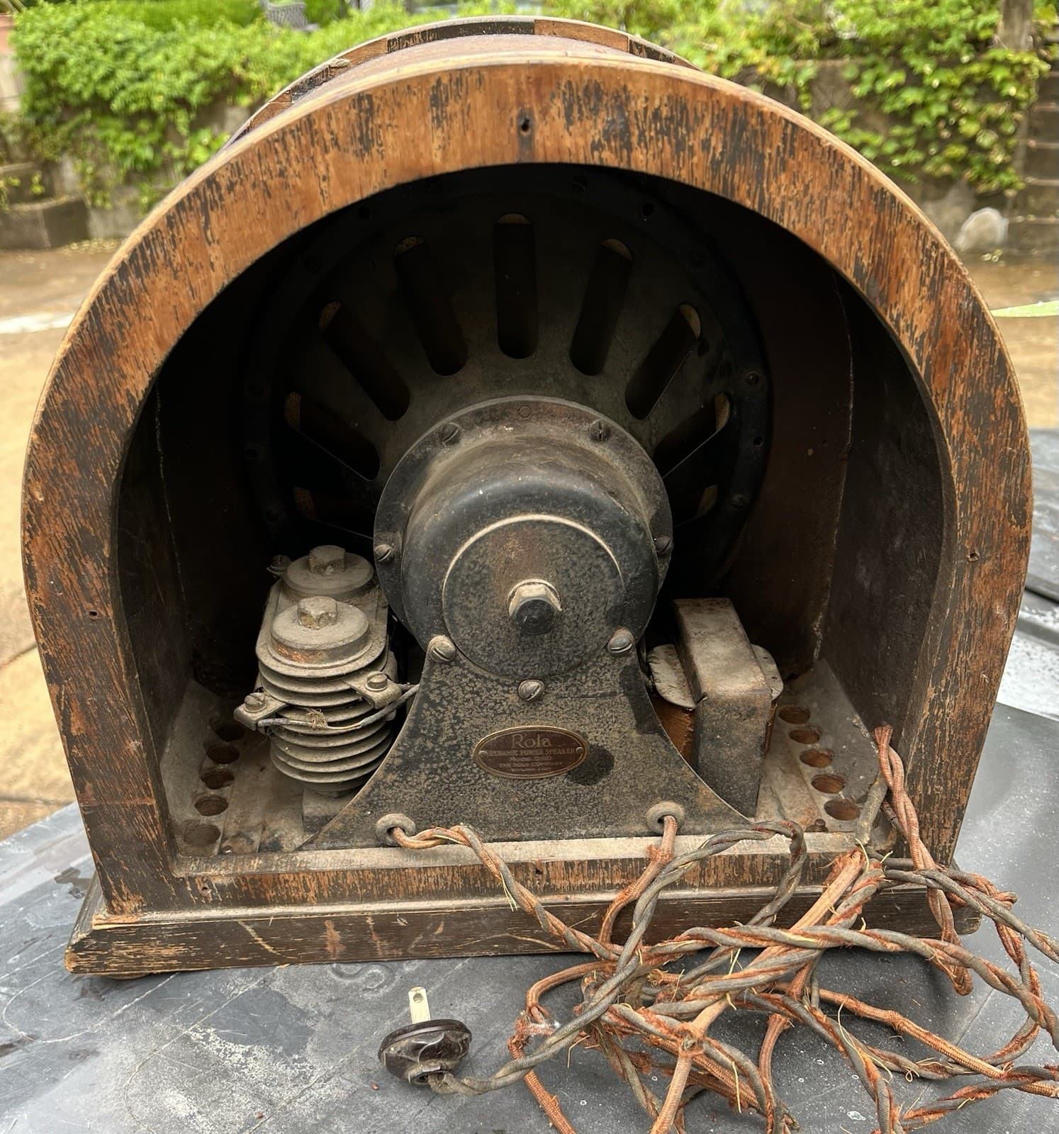 Rola Model 30 Electro Magnetic Dynamic 1929 Radio Loudspeaker, Cathedral Style 6