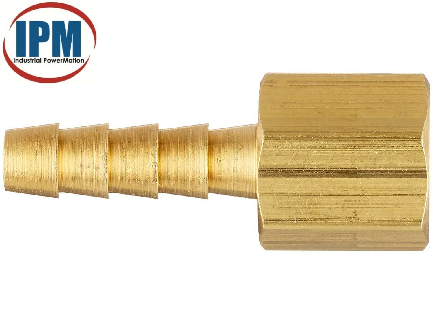 1/8" Hose Barb x 1/8" FEMALE NPT Brass Straight Fitting HB02-FNPT02 (IPM) NEW! 2