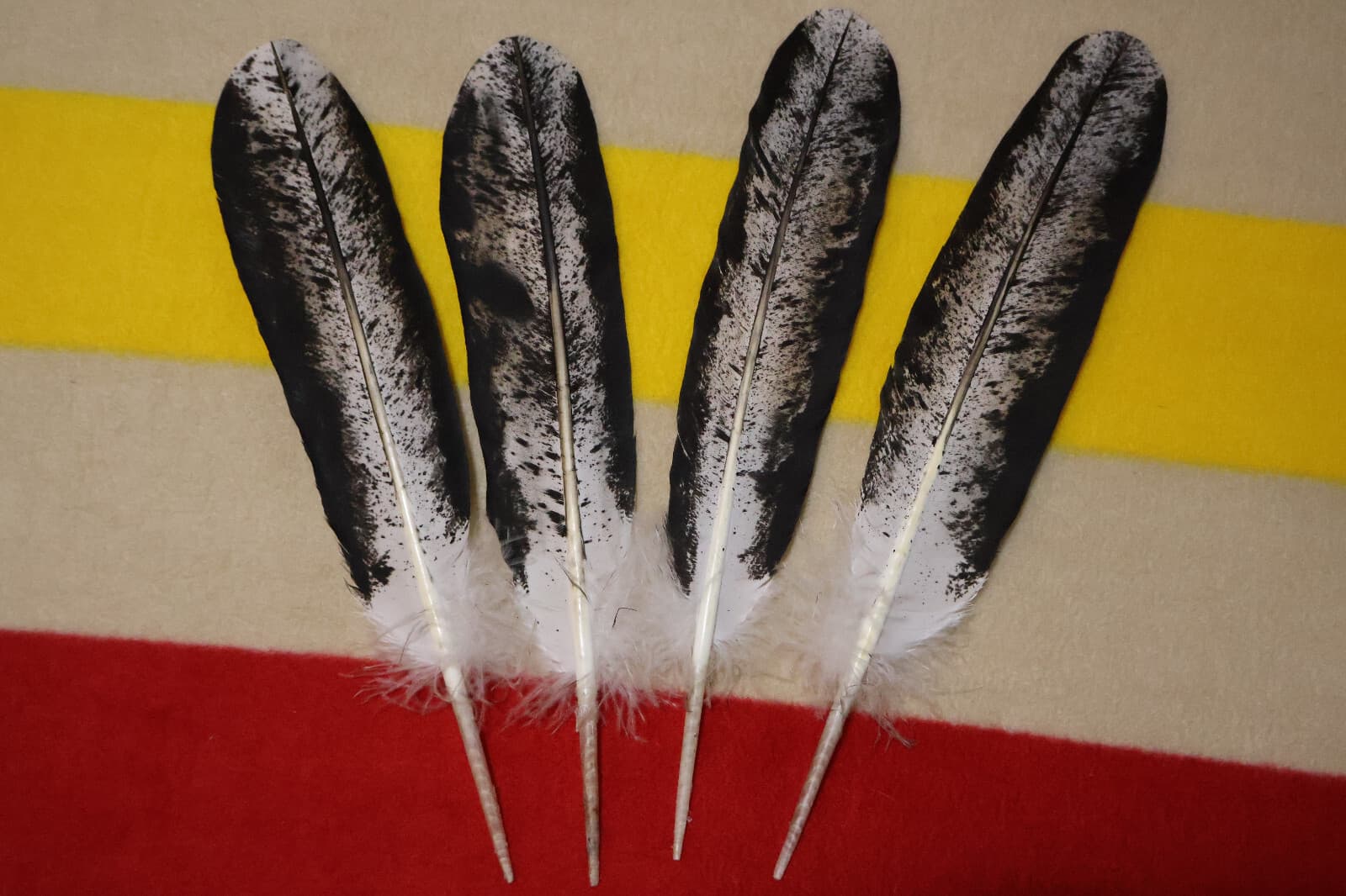 Native American-made Immature Bald Eagle Feathers Immature hand painted 4