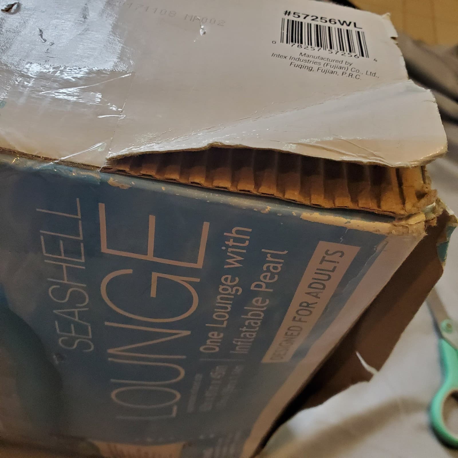 Intex Seashell Clamshell w/Pearl Ball Pool Summer Float Lounge 61" x 61"  x 45" 5