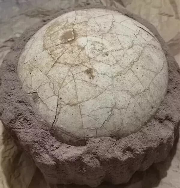 Segnosaur Dinosaur Egg Fossilized Crystallized Fossil Jurassic Cretaceous World 4
