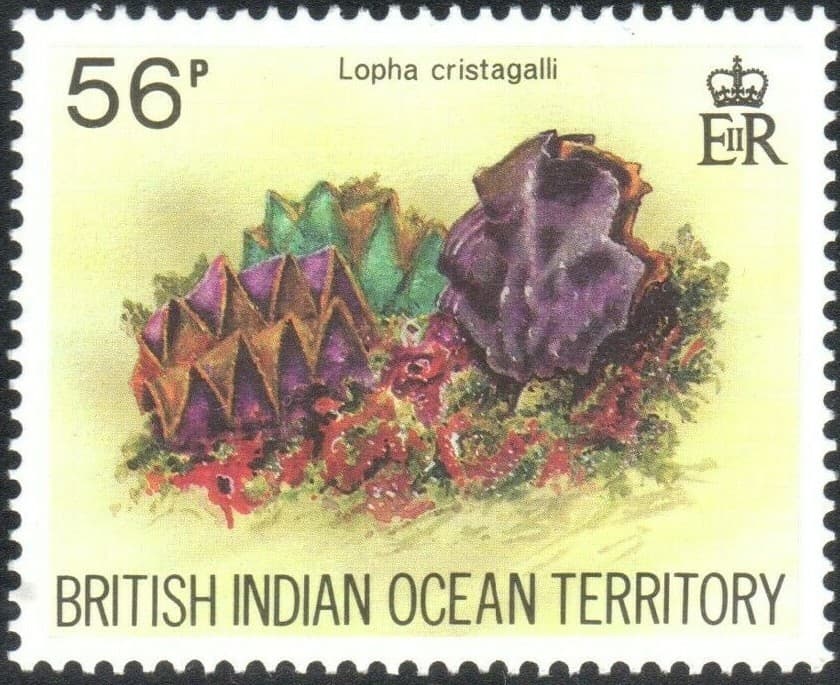 British Indian Ocean Territory Scott 172-175, SG #58-61 VF MNH Shells BIOT 1974 5