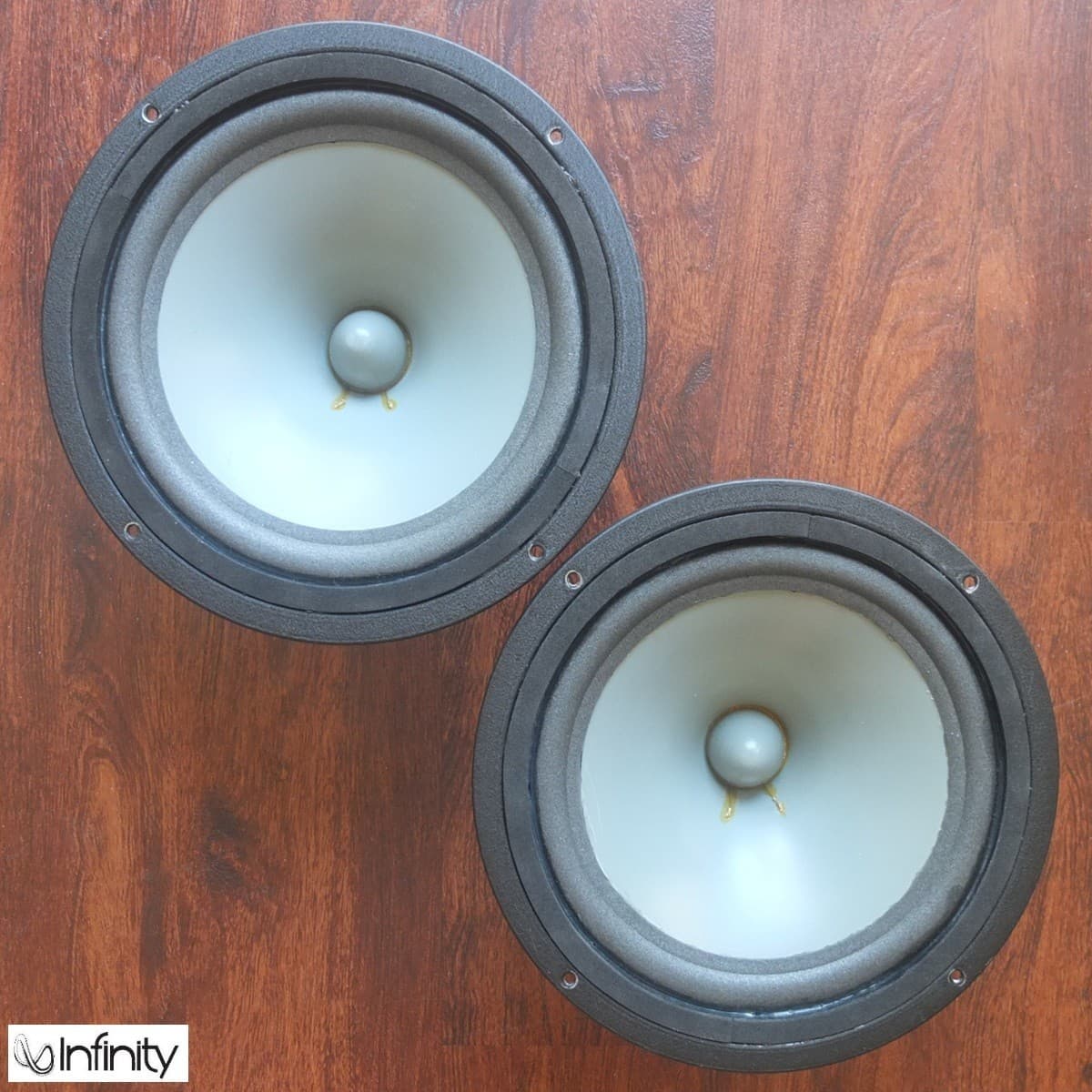 vintage Infinity 10" gray poly cone woofers for RSa RSb speakers c.1979—refoamed