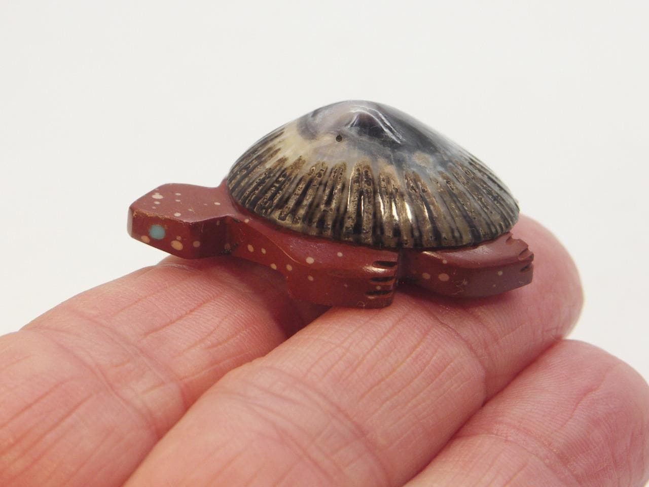 AMOS POOACHA (d), ZUNI PUEBLO TURTLE Tortoise Fetish carving, Pipestone & Shell 3