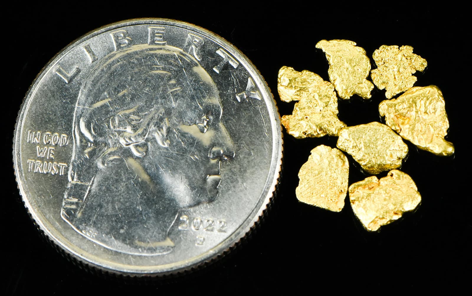 Alaskan Yukon BC Gold Rush Nugge #6 Mesh 1 DWT 1.55 Grams of Fines 1/20 OUNCE 4