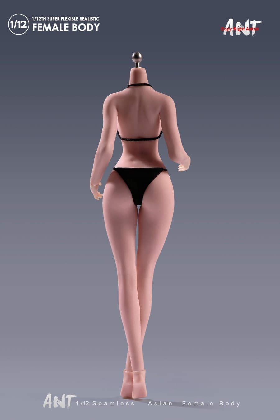 US ANT 1:12 Suntan Large Breast Plump Hip Seamless 6"Female Action Figure Body 5