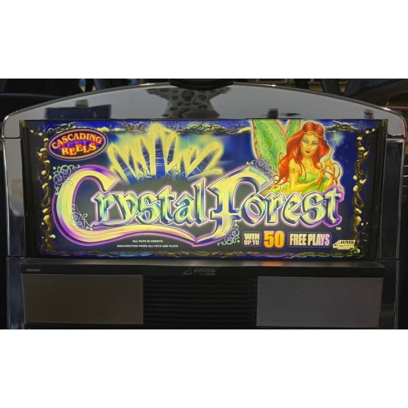 WMS Blue Bird 1 Crystal Forest 4