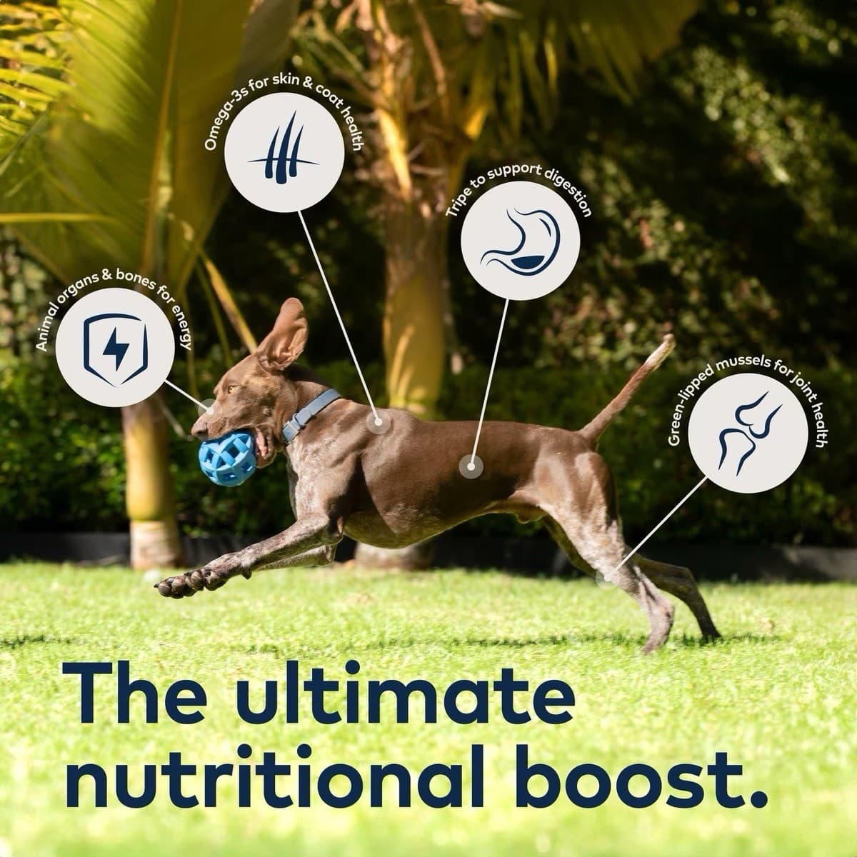 1# Ziwi Peak Air-Dried Venison Dog Food 6