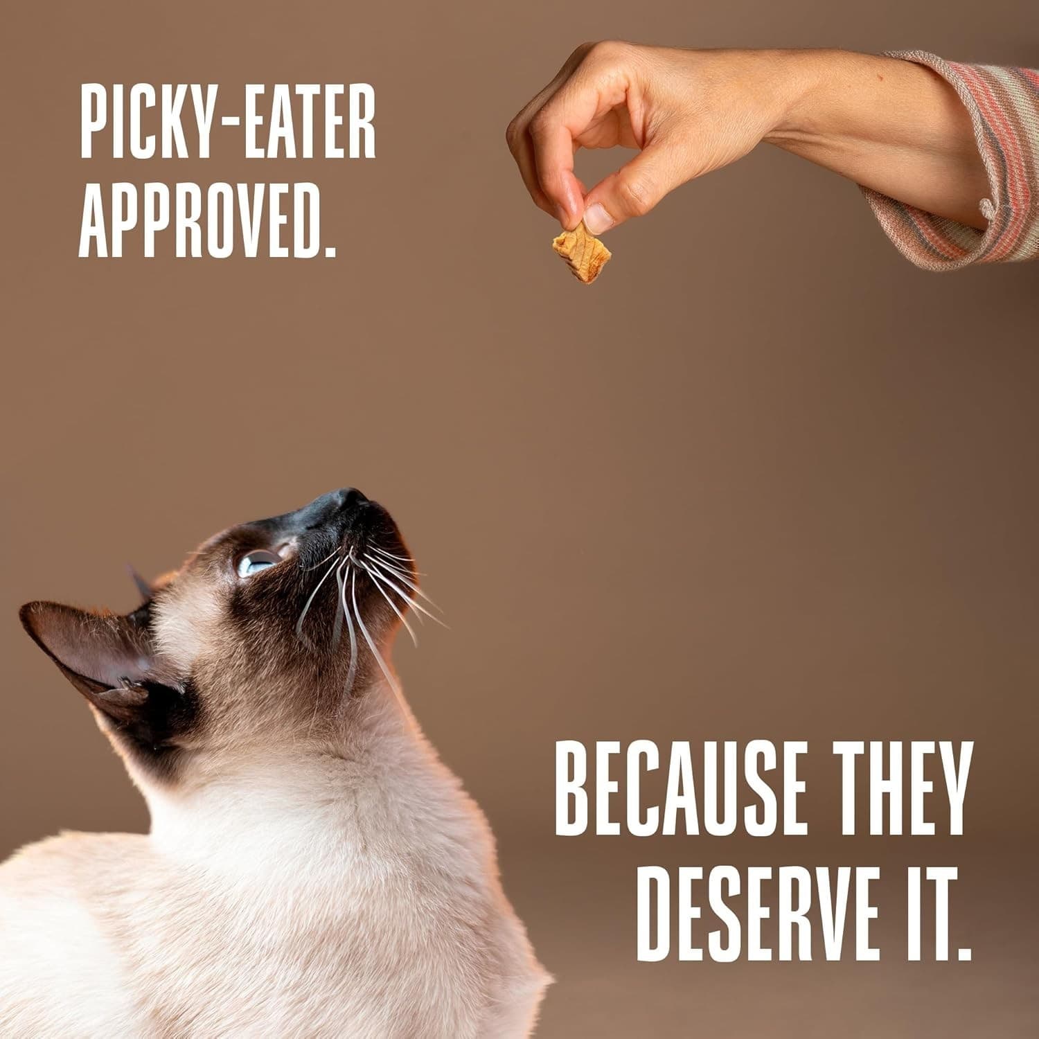 Whole Life Pet Just One Salmon - Cat Treat or Topper - Human Grade, Freeze Dried 5