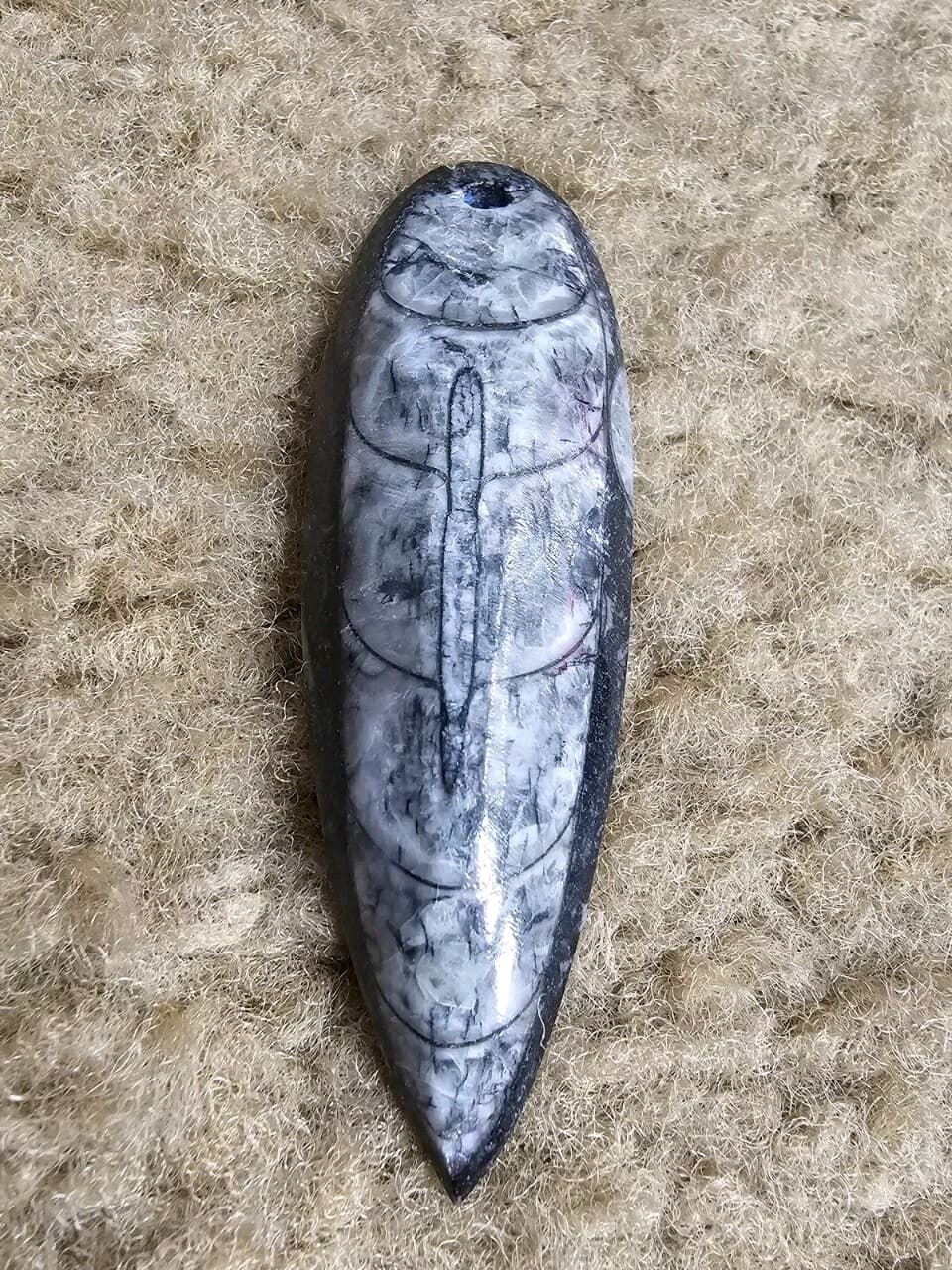 Orthoceras Focal Pendants, Polished Drilled Fossil, Nature Jewelry, Metaphysical