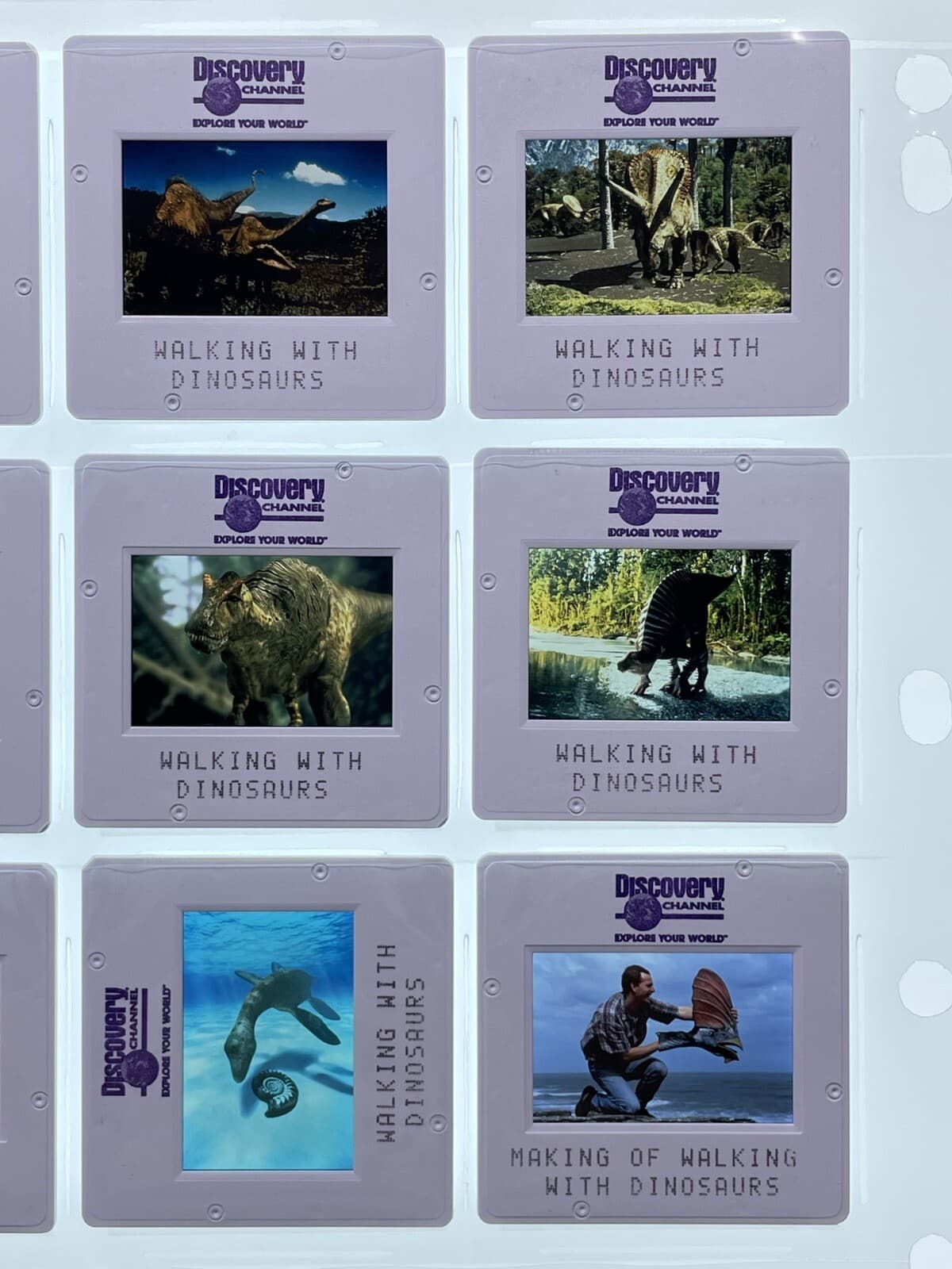 Walking with Dinosaurs 35mm Slides TV Mini Series Press Kit Promo Vtg Lot of 12 4