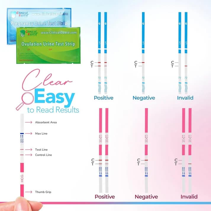 Clinical Guard Pack 100 Ovulation Test Strips LH + 20 Pregnancy Test Strips HCG 3