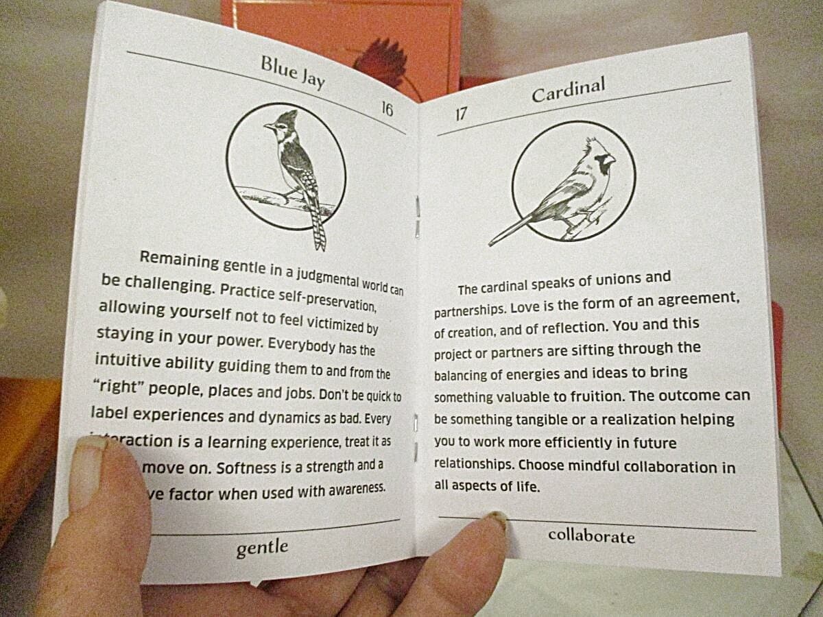 Bird Kin Oracle Deck 2019 Feather Messages + Guidebook 30 Cards EUC Stocking Stu 6