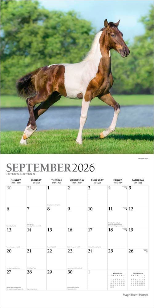 Magnificent Horses | 2026 12x24" (Hanging) Monthly Square Wall Calendar 4