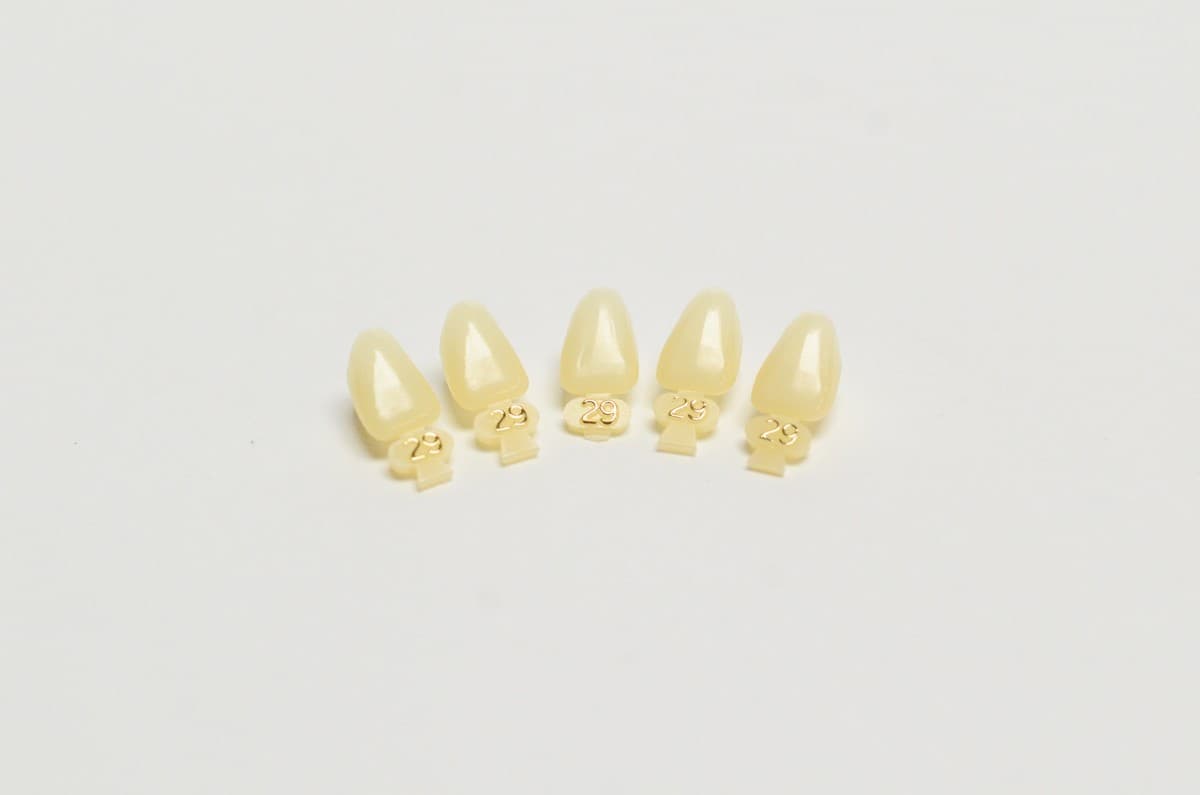 DENTAL POLYCARBONATE TEMPORARY CROWNS #29 (ULL) UPPER LEFT LATERAL 5/PACK 4