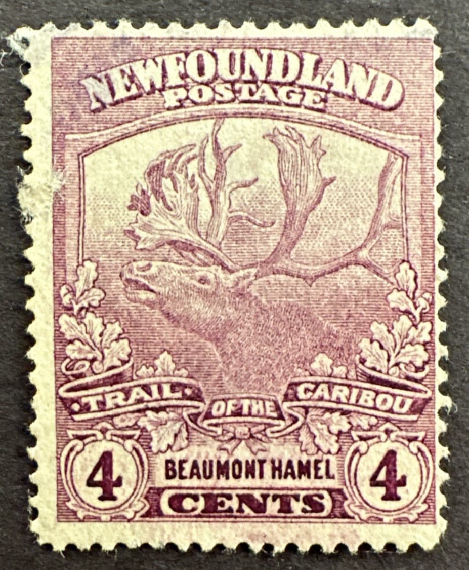 Newfoundland 1919 Scott #118 Used Stamp Trail of the Caribou 4c Beaumont Hamel