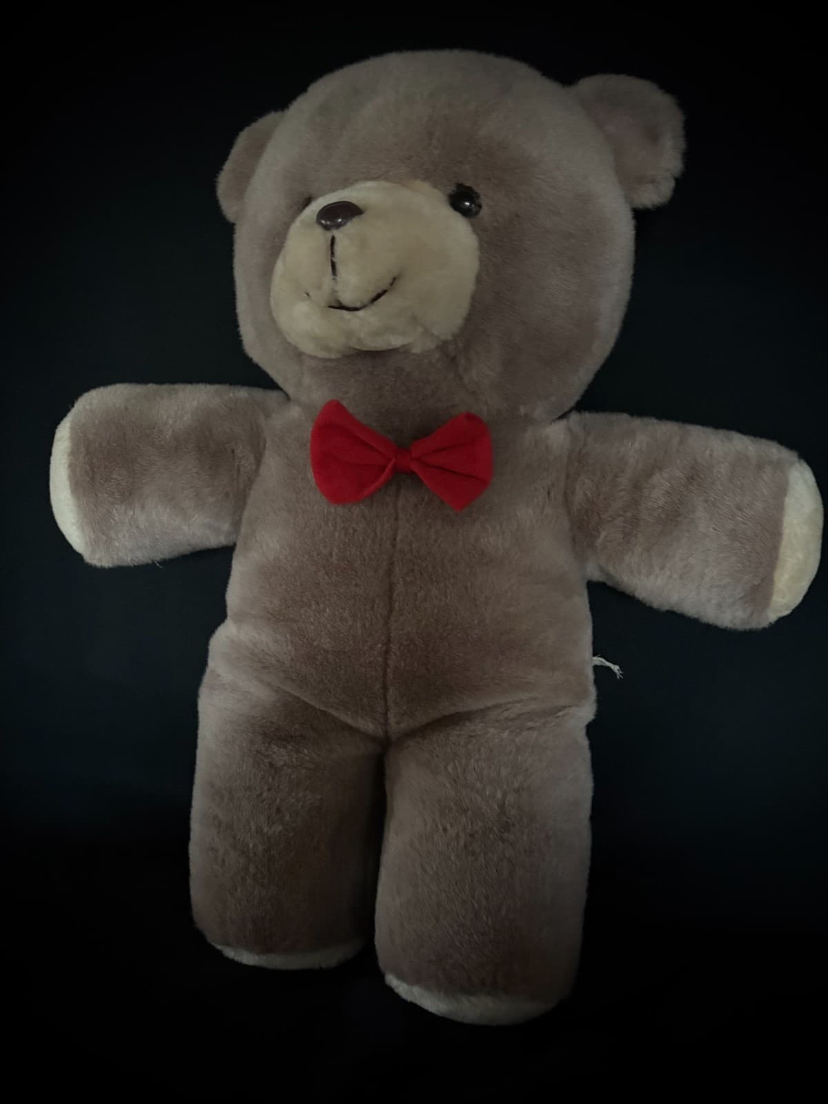 Haunted Large Vintage Bear 20" - Boy, PAUL, Age 10 ~ACTIVE~ Likes Toy Trucks 3