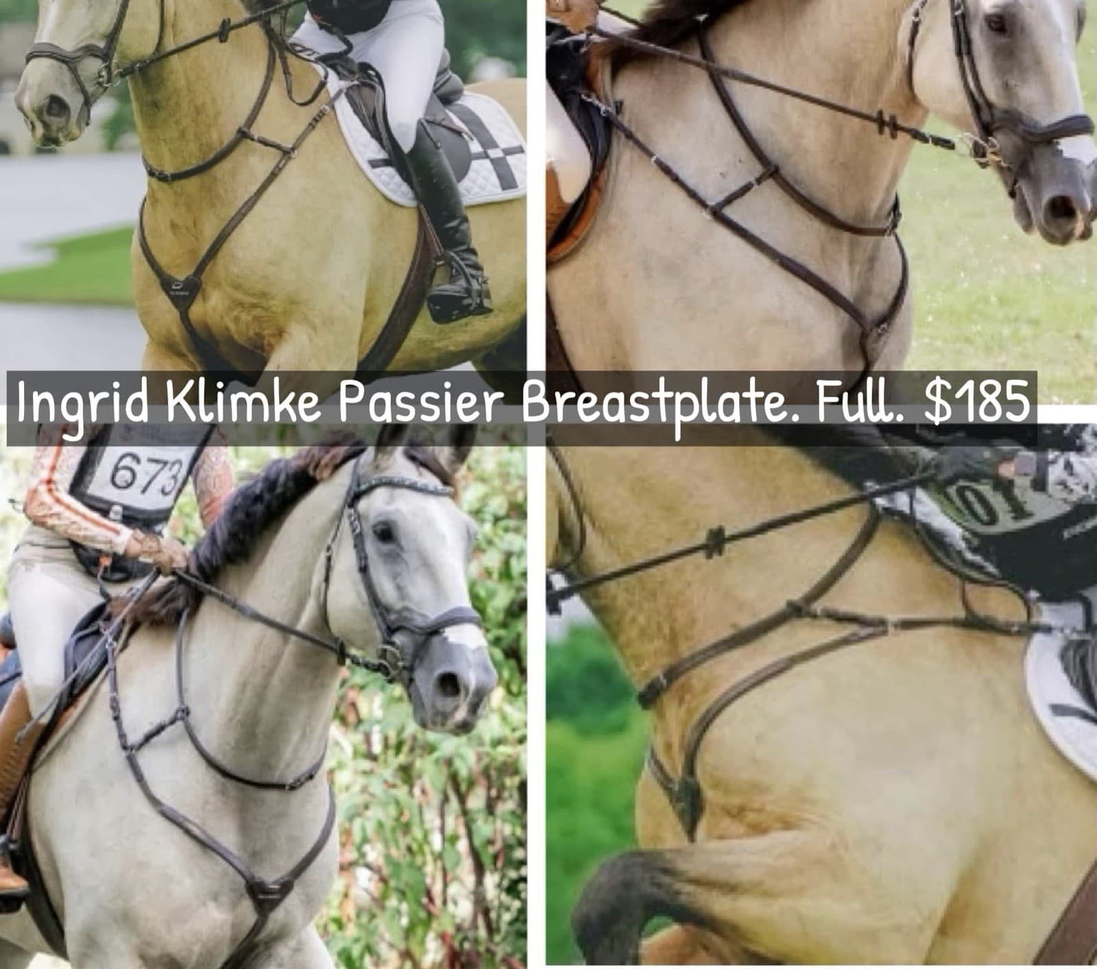 Passier Ingrid Klimke Breastplate W Grab Strap.  2