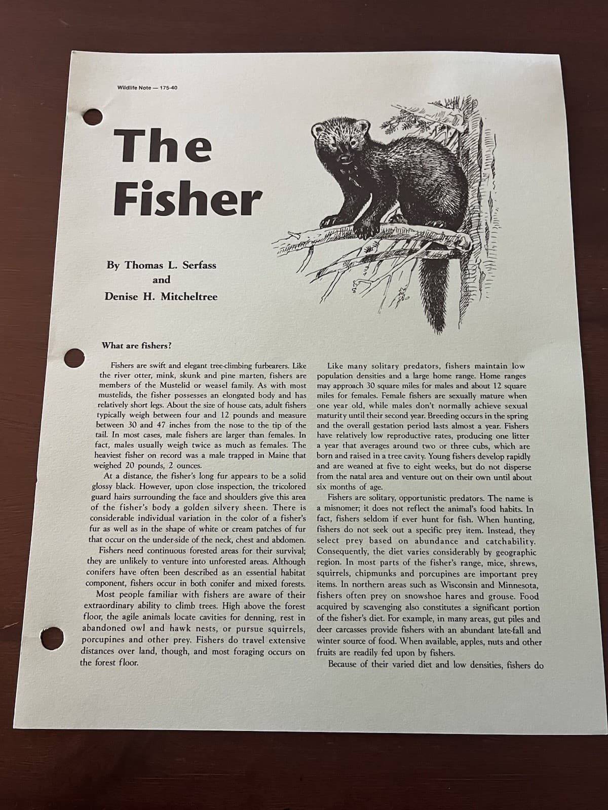 Pennsylvania Game Commission Wildlife Notes The “Fisher”