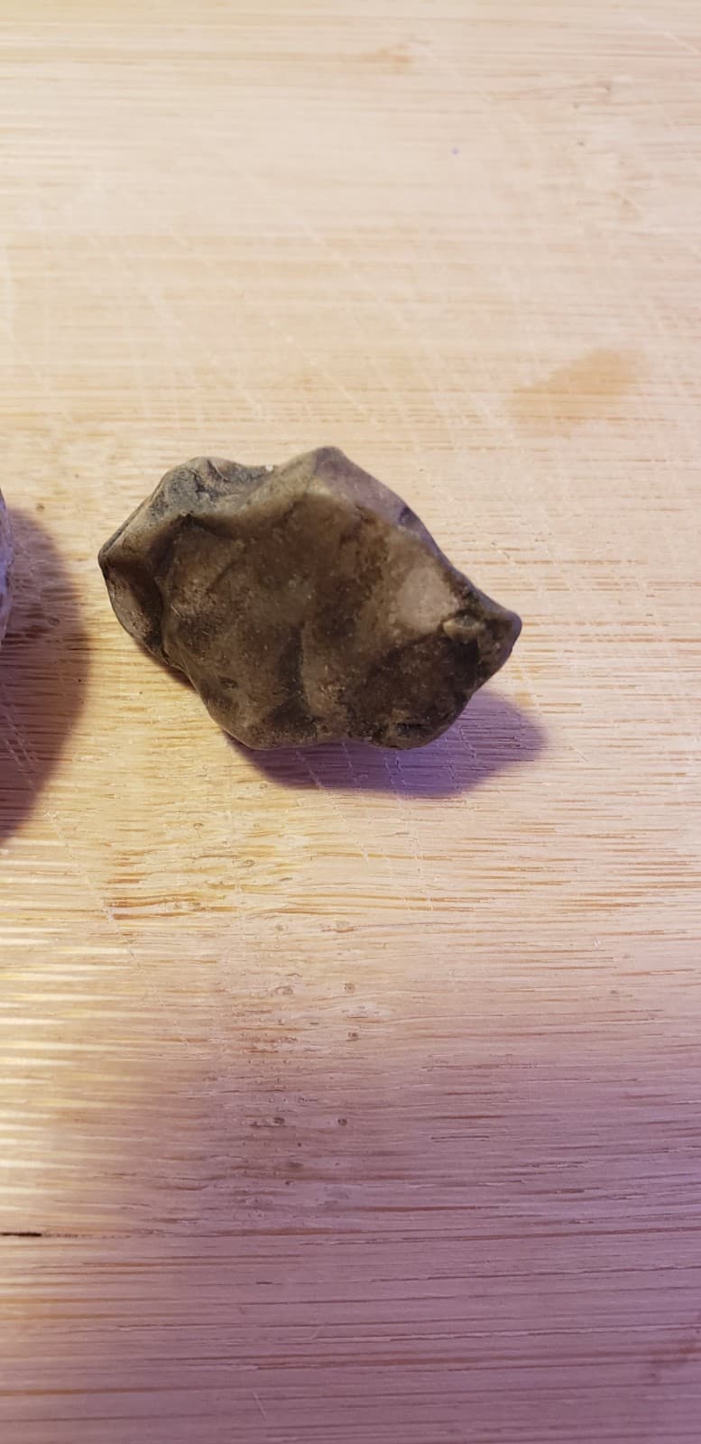 Authentic Michigan Fossil Assortment(4)  Great Lakes Rock Mix  1" And Under 4