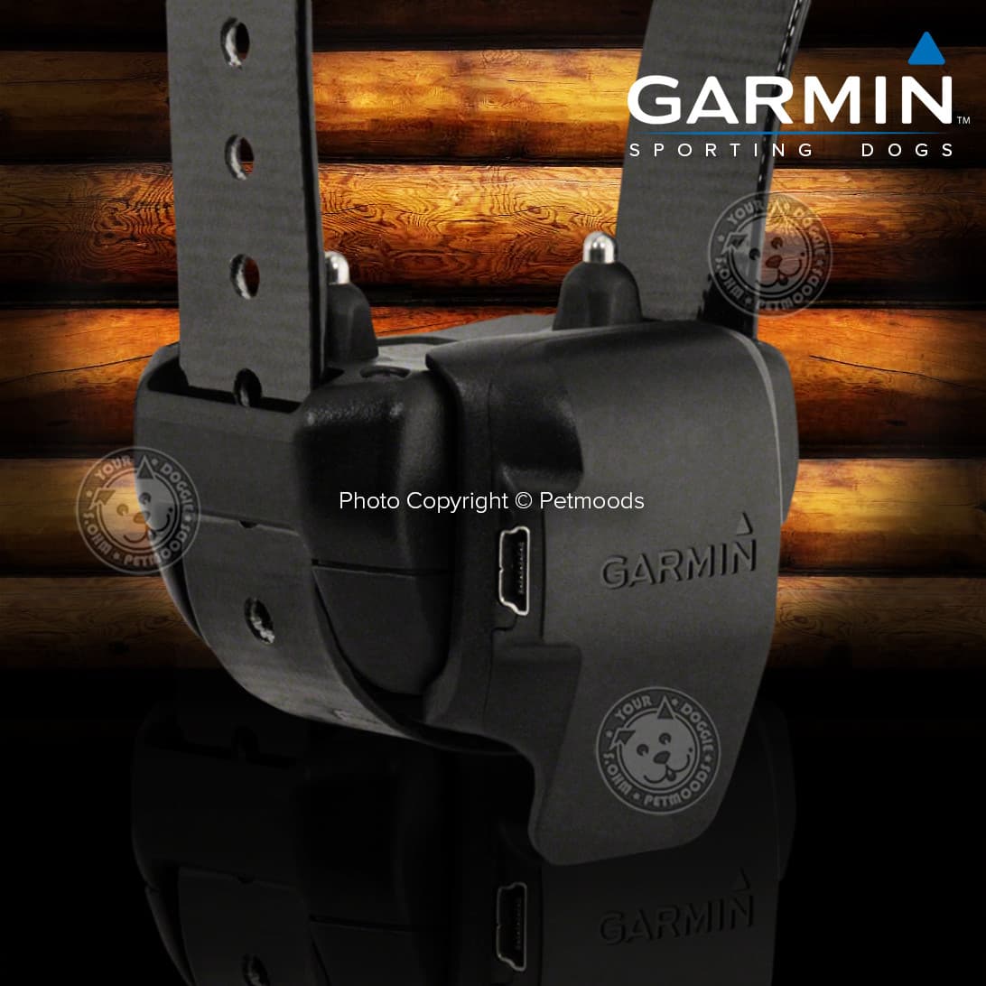 Garmin Delta XC / Delta Series Charging Clip Receiver Dog Collar 010-11890-00 5
