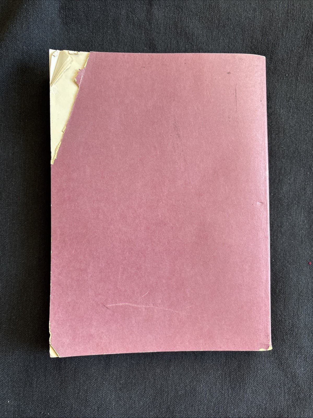 VINTAGE GIRL SCOUT - 1963 CADETTE GIRL SCOUT HANDBOOK - paperback 2