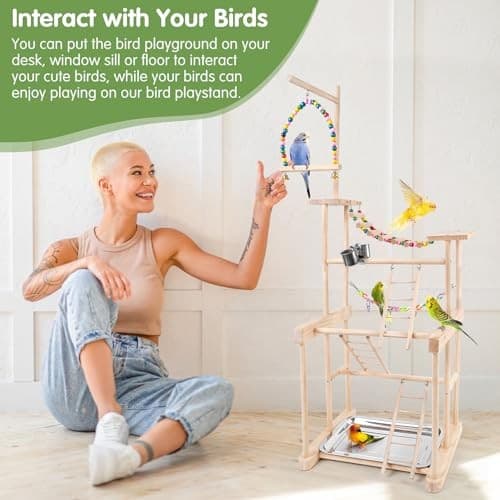 Bird Playground 4 Layer, Parrot Playground Bird Play Stand for Parakeet 4 layer 3