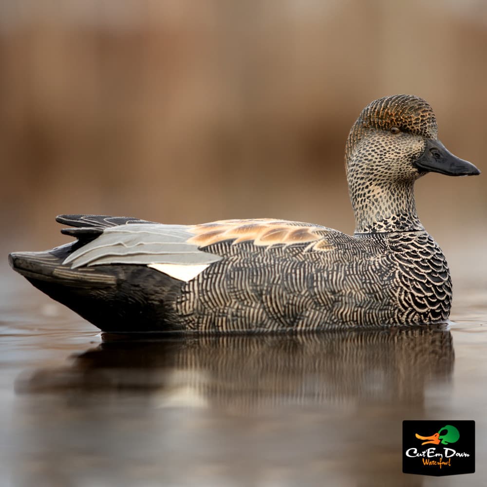 NEW AVERY GREENHEAD GEAR GHG PRO GRADE PG LS GADWALL FLOATER DUCK DECOYS 6