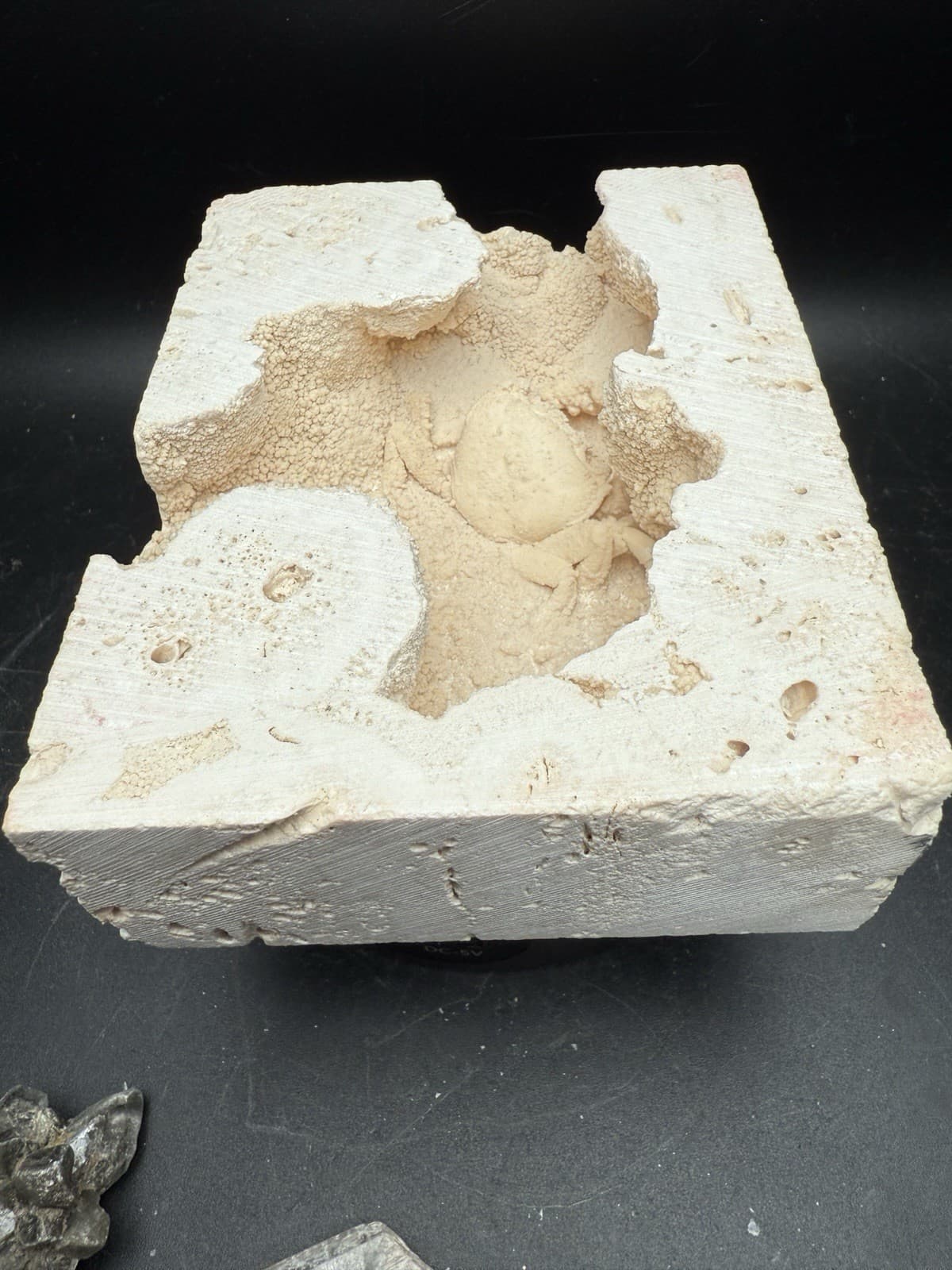 2.3” Inch Amazing Fossilized Potamon Crab In Travertine Turkey UV Reactive 6