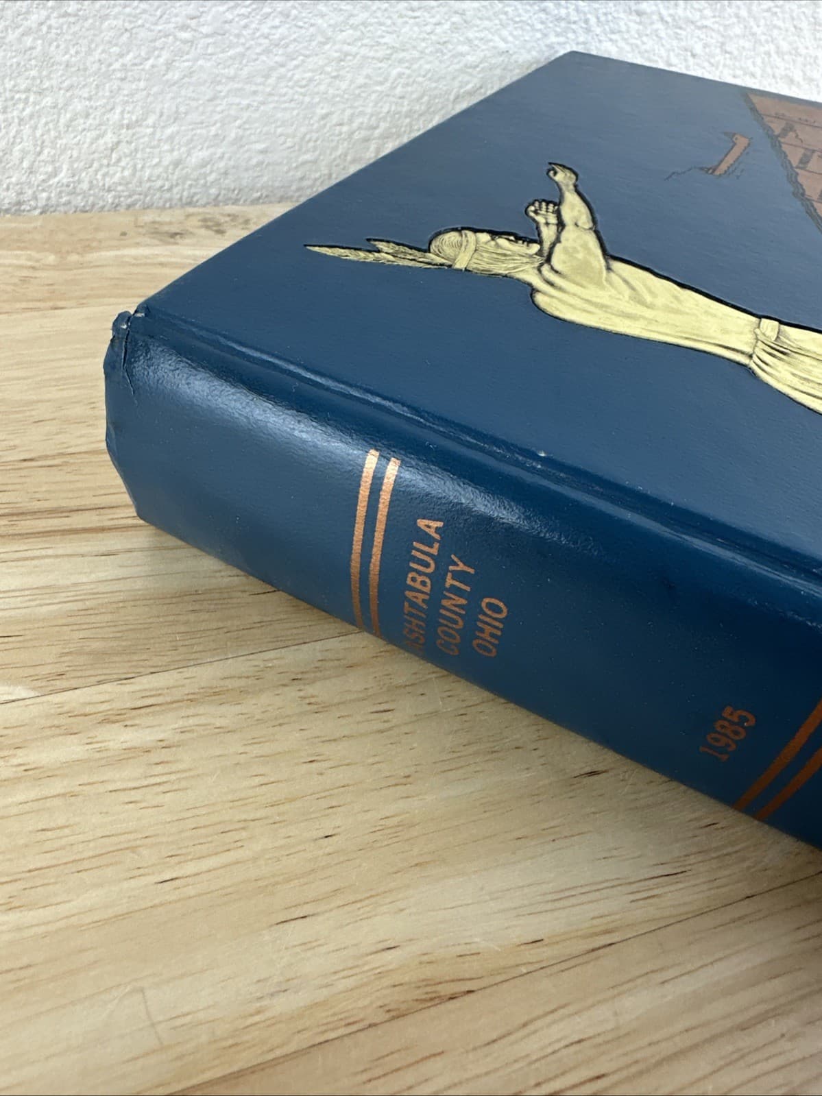 History of Ashtabula County Ohio History Genealogy Genealogical Society 1985 3