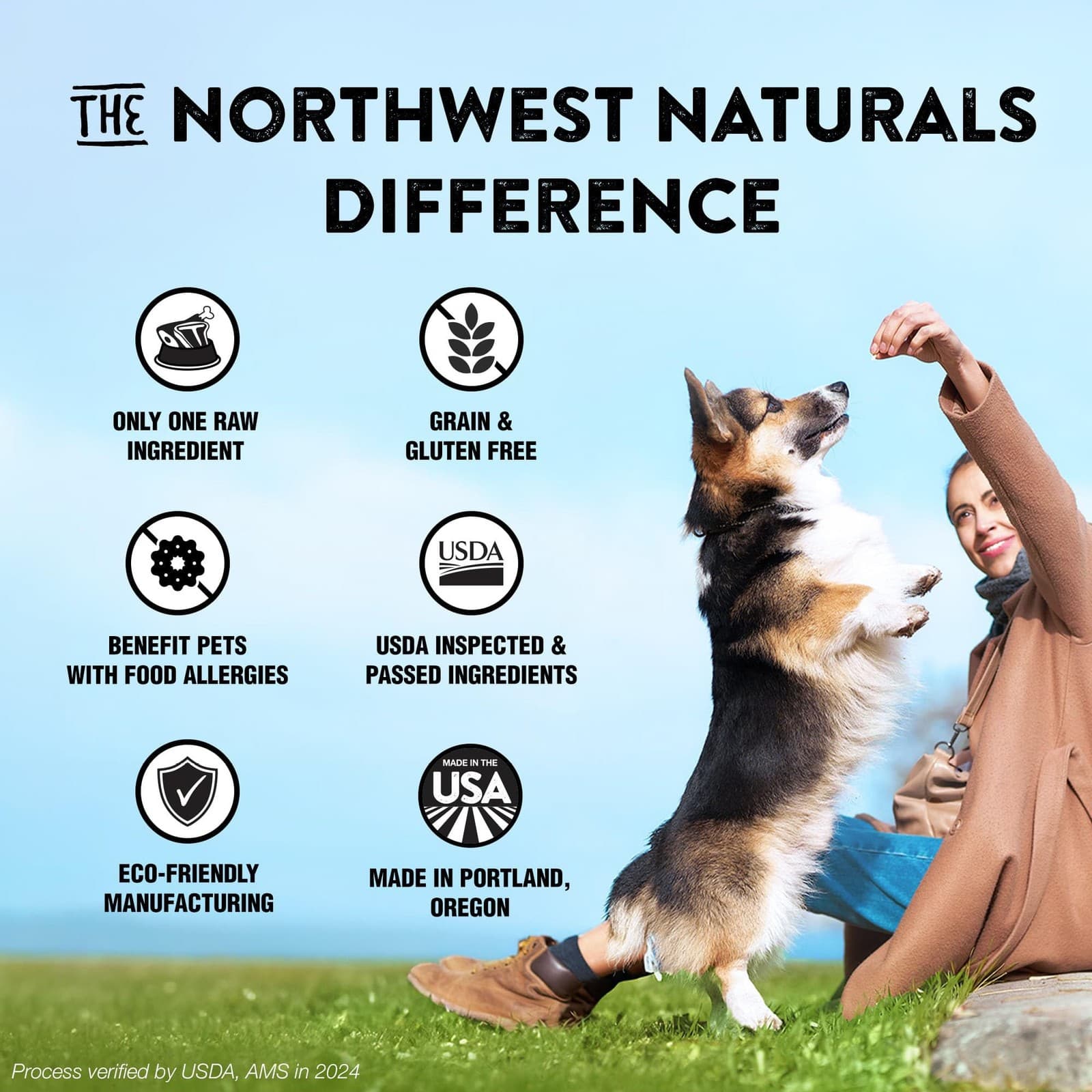 Northwest Naturals Raw Rewards Freeze-Dried Salmon Treats for Dogs and Cats -... 6