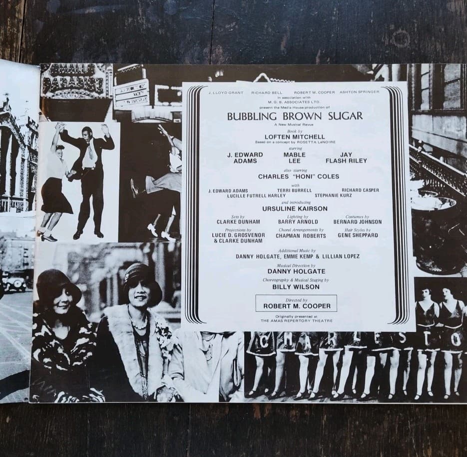 Harlem Program Bubbling Brown Sugar: A Musical Review, Vintage MUSTY ODOR READ 4