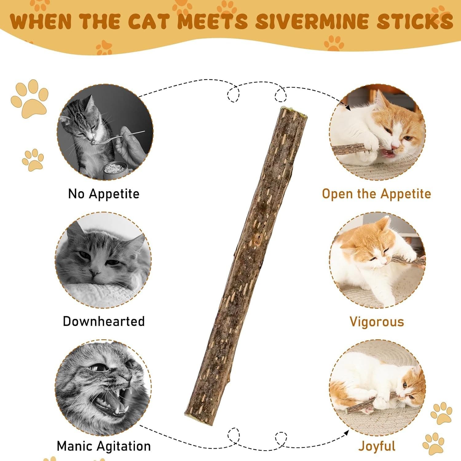 Silvervine Sticks for Cats, Natural Catnip Matatabi Chew 12 Count, Brown  4