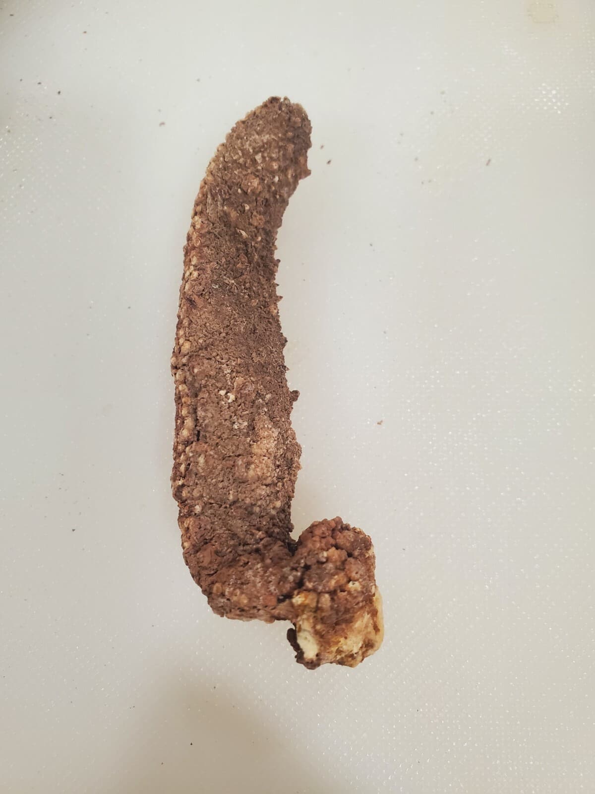 Dried Wild Red Alaska Sea Cucumber Ocean Run 1 LB (Small, Medium) 5