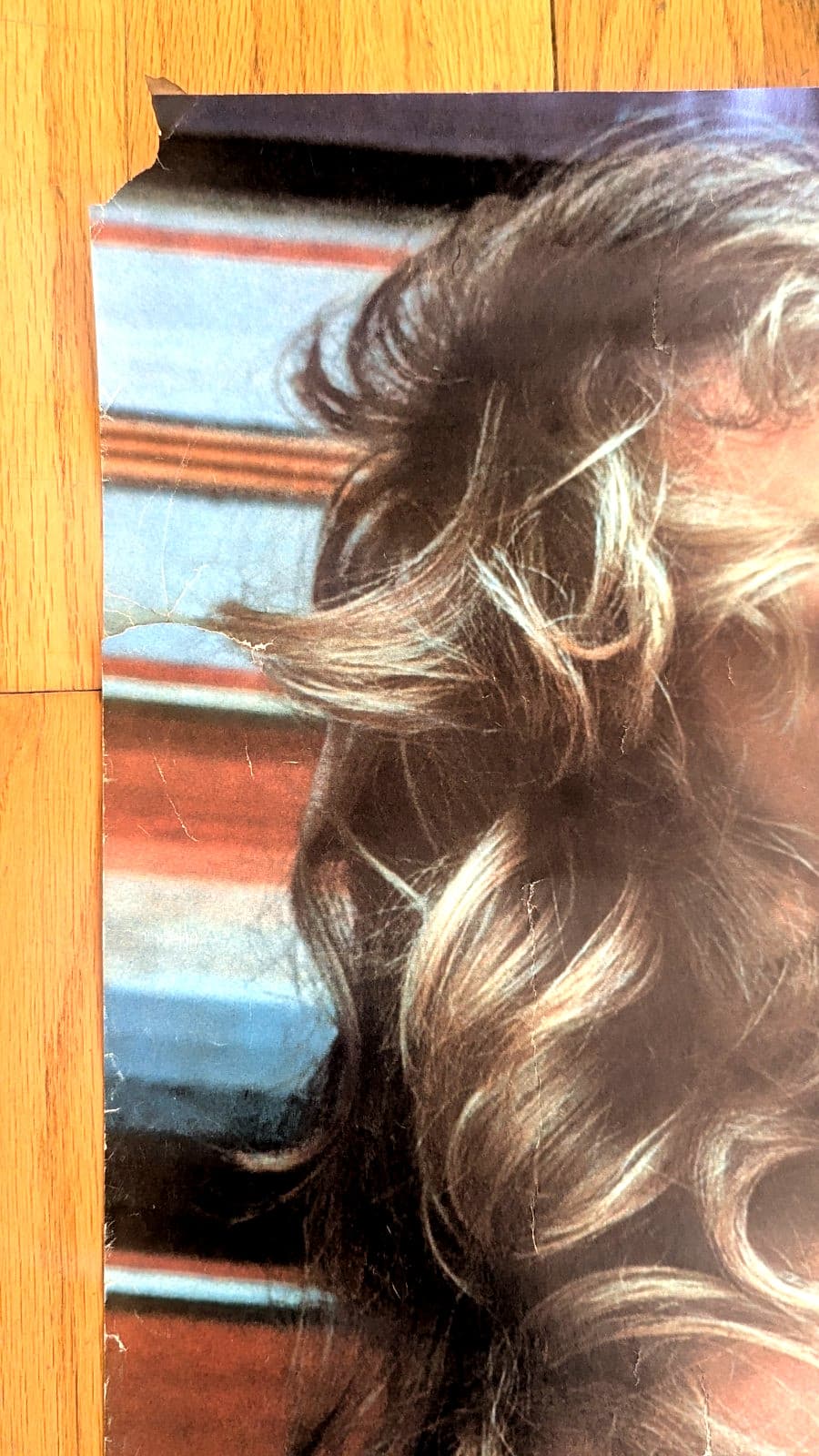 FARRAH FAWCETT ORIGINAL 1976 PRO ARTS ICONIC PIN UP POSE POSTER $25 3