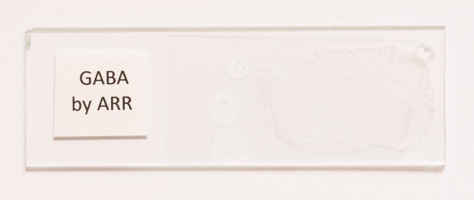 Microscope slide for polarization, Gamma Aminobutyric Acid (GABA) 3